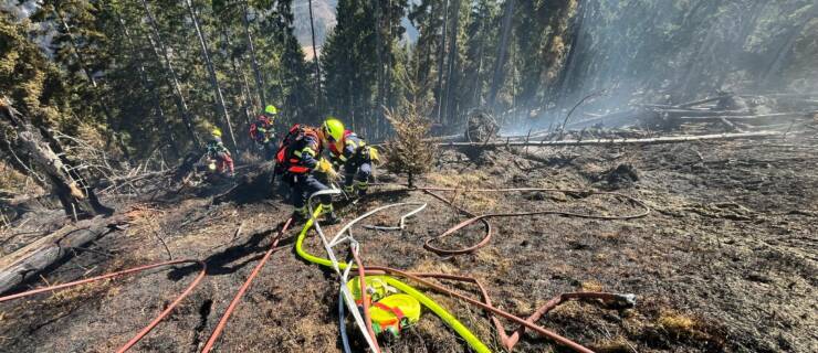 Waldbrandgruppe – Schwarzau im Gebirge