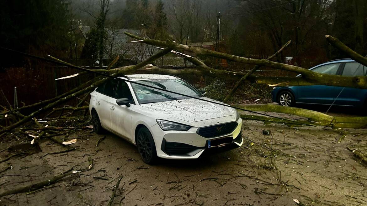 Baum stürzte auf PKW