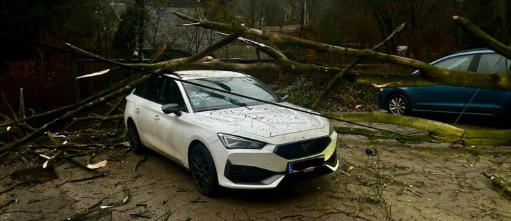 Baum stürzte auf PKW