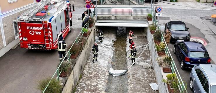 Schadstoff im Weidlingbach