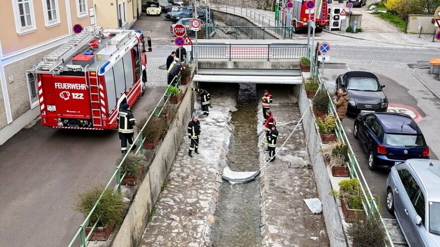 Schadstoff im Weidlingbach