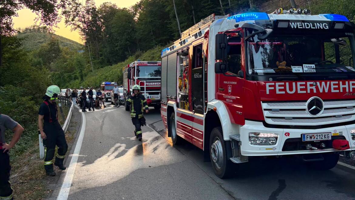 Fahrzeugbrand auf der Sieveringer Straße