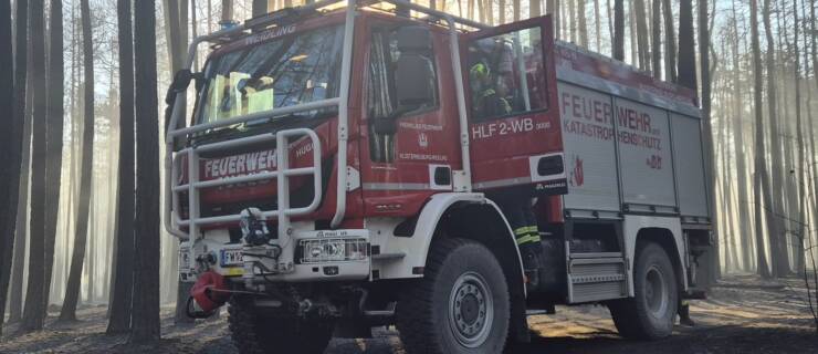 Erneuter Waldbrand im Föhrenwald